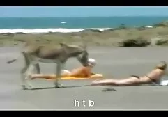 نگه می دارد در پورن کم حجم لعنتی