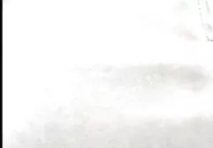 زنان فیلم های سینمایی پورن سیاه پوست